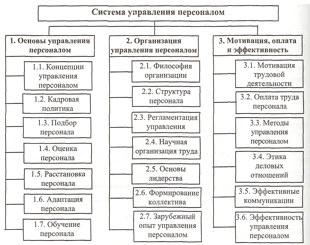 На схеме представлена структура системы управления персоналом